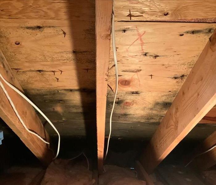 Attic with visible mold damage on the wood framework