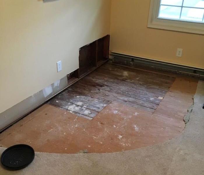 Room with flood cuts along with carpet with exposed subfloor 