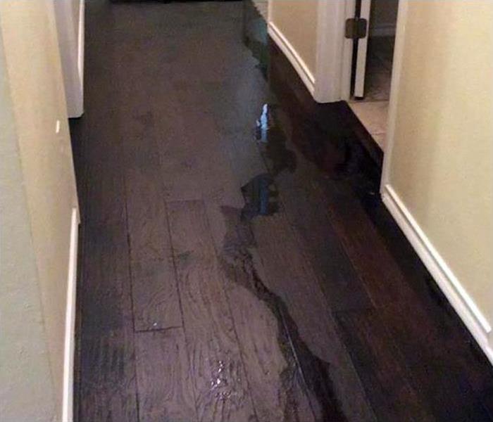 Standing water on a dark hardwood flooring in a hallway. 