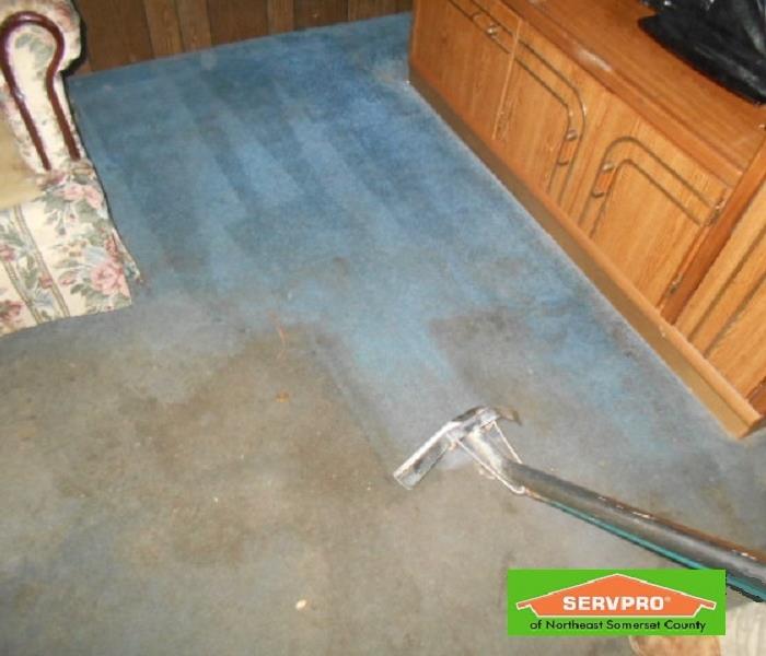 Blue carpeting with brown stains in a living room. 